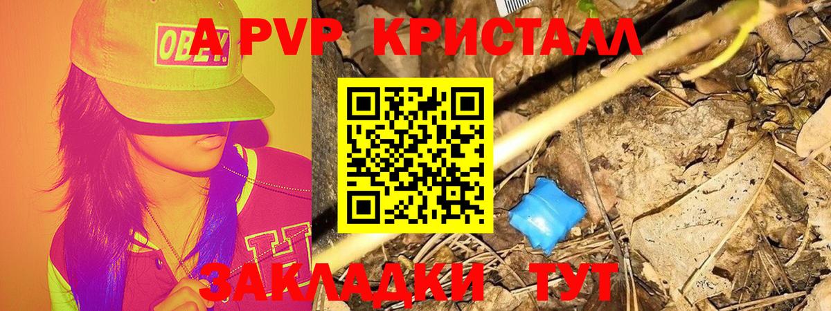 дарнет шоп  Вход с VPN  Люберцы  A PVP крисы CK 