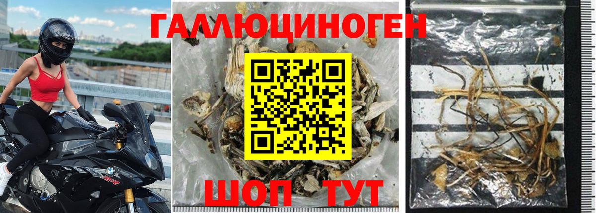закладка  Вход с VPN  Люберцы  Галлюциногенные грибы Magic Shrooms  Псилоцибиновые грибы Magic Shrooms 